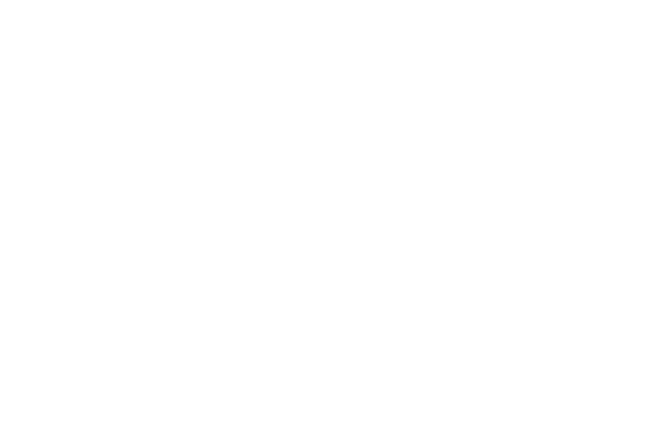 PGU_logo_hvid_2014